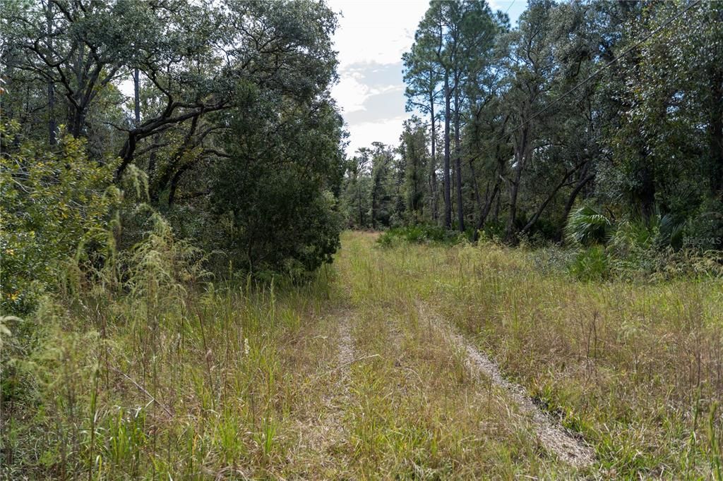 For Sale: $15,000 (0.54 acres)