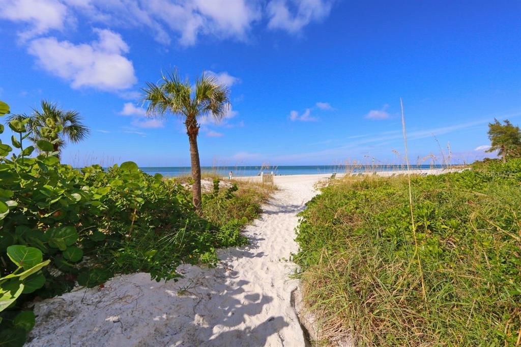 The path to the beach.