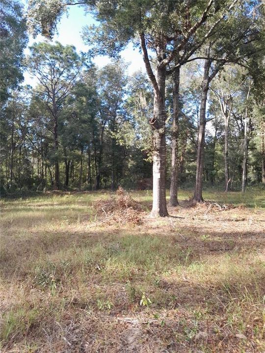 For Sale: $15,000 (0.23 acres)