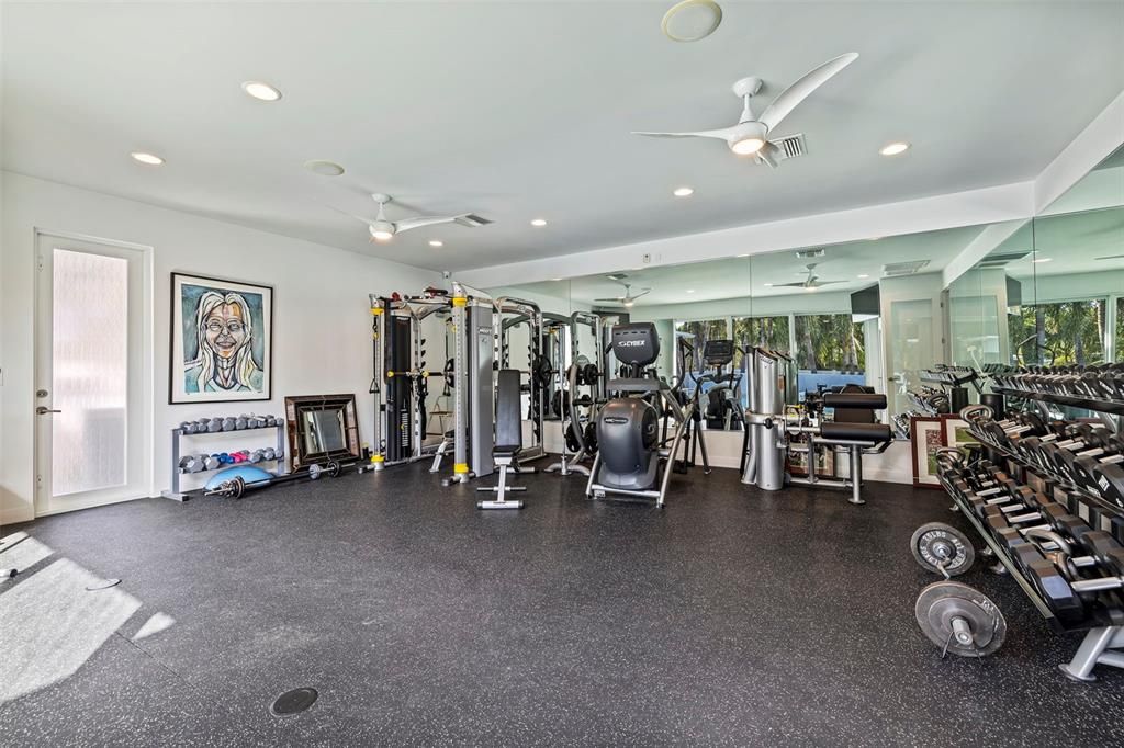 Gym/Bonus Room