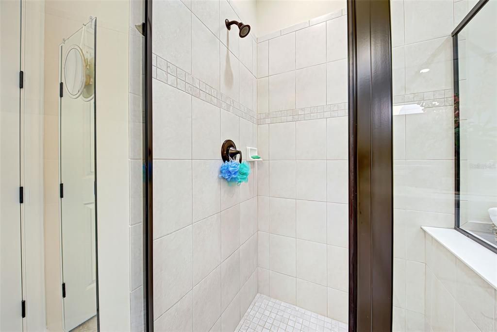 Walk-in shower with glass door