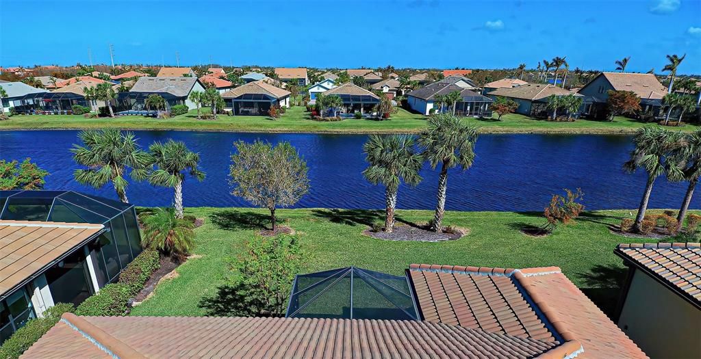 Pond view