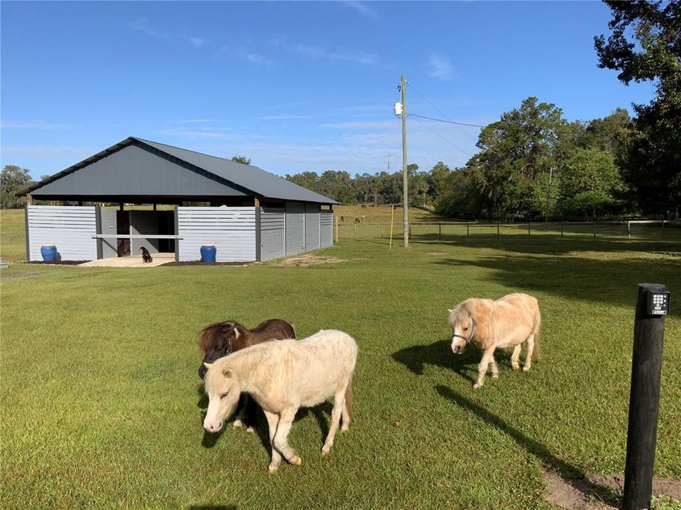 6 stall barn with inside grooming stall, tack and feed room