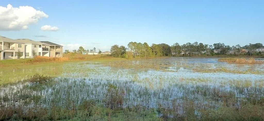 Pond View