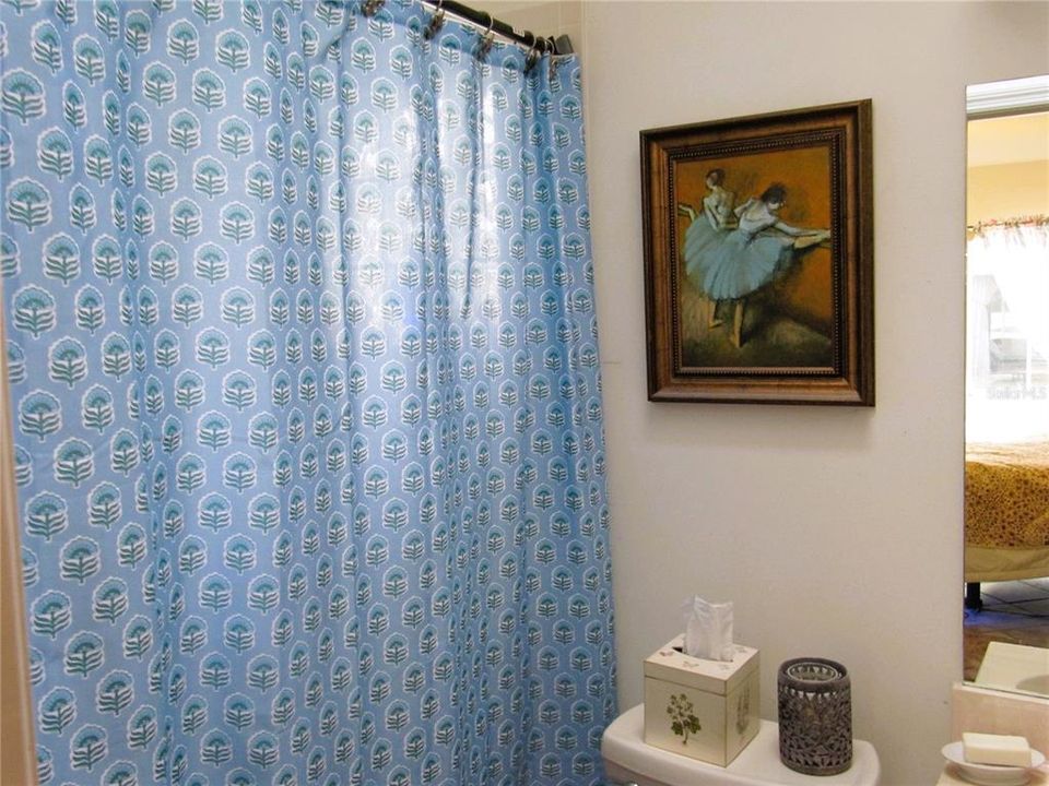 Guest Suite Bathroom