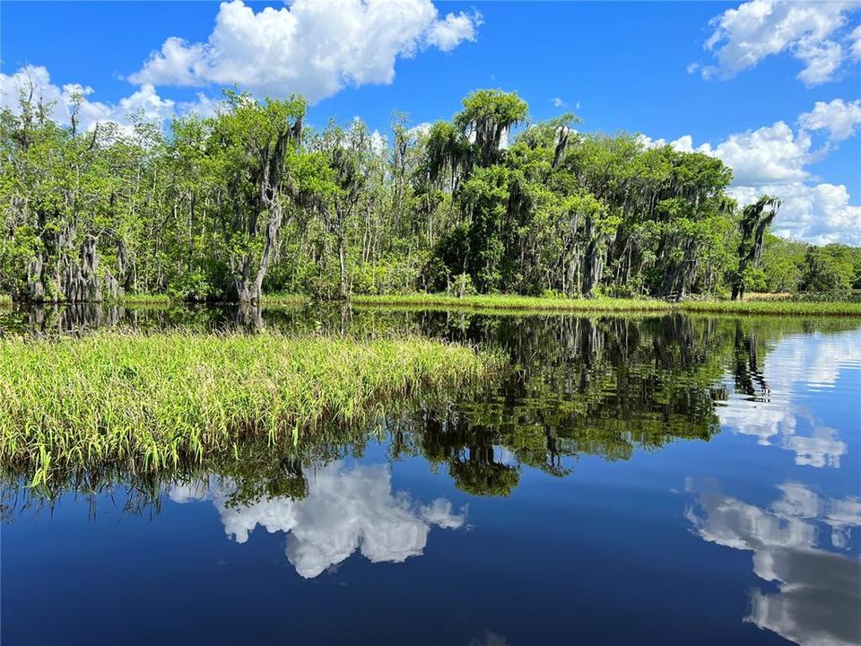 Beautiful lake