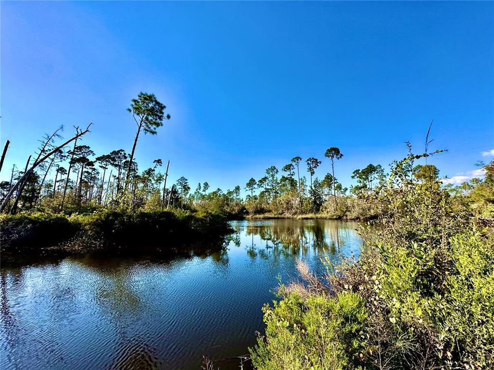 Wetappo Creek Waterfront view from lot