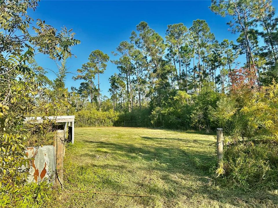 View of pasture area