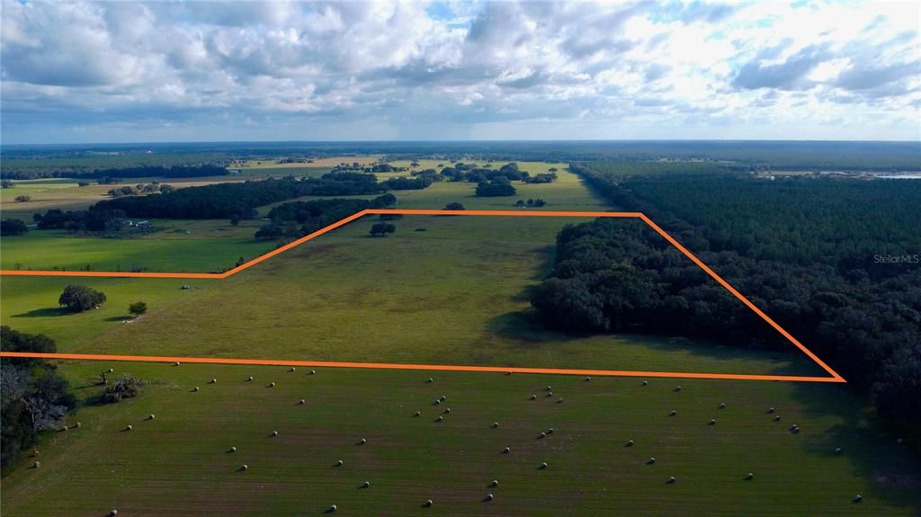 For Sale: $1,233,300 (82.22 acres)