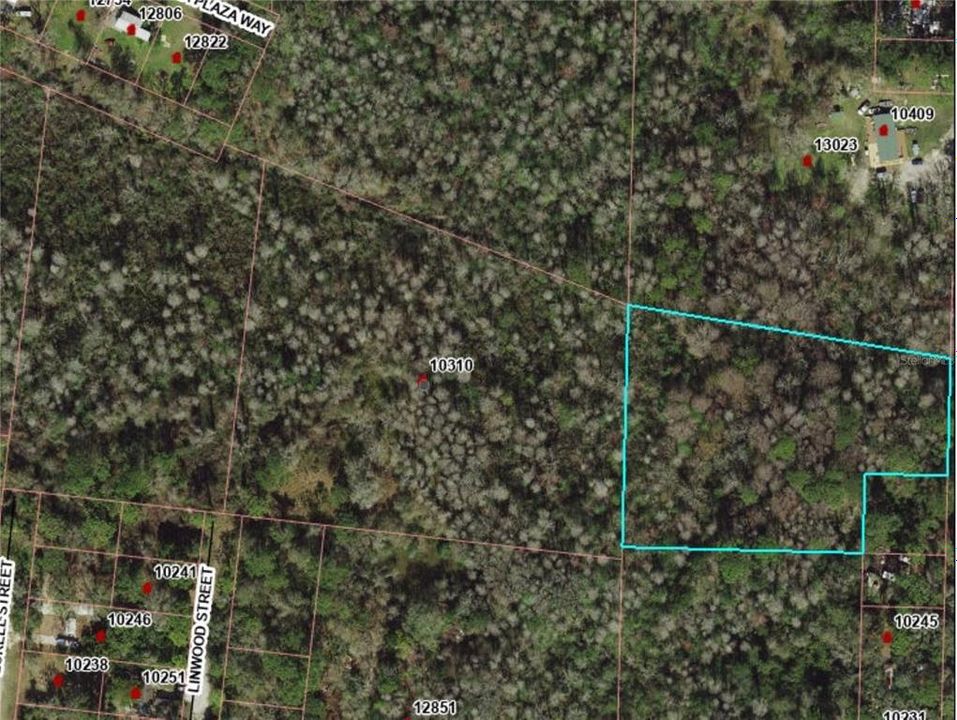 Parcel 2  2.67 Acres Parcel 16-25-17-0020-00000-3550