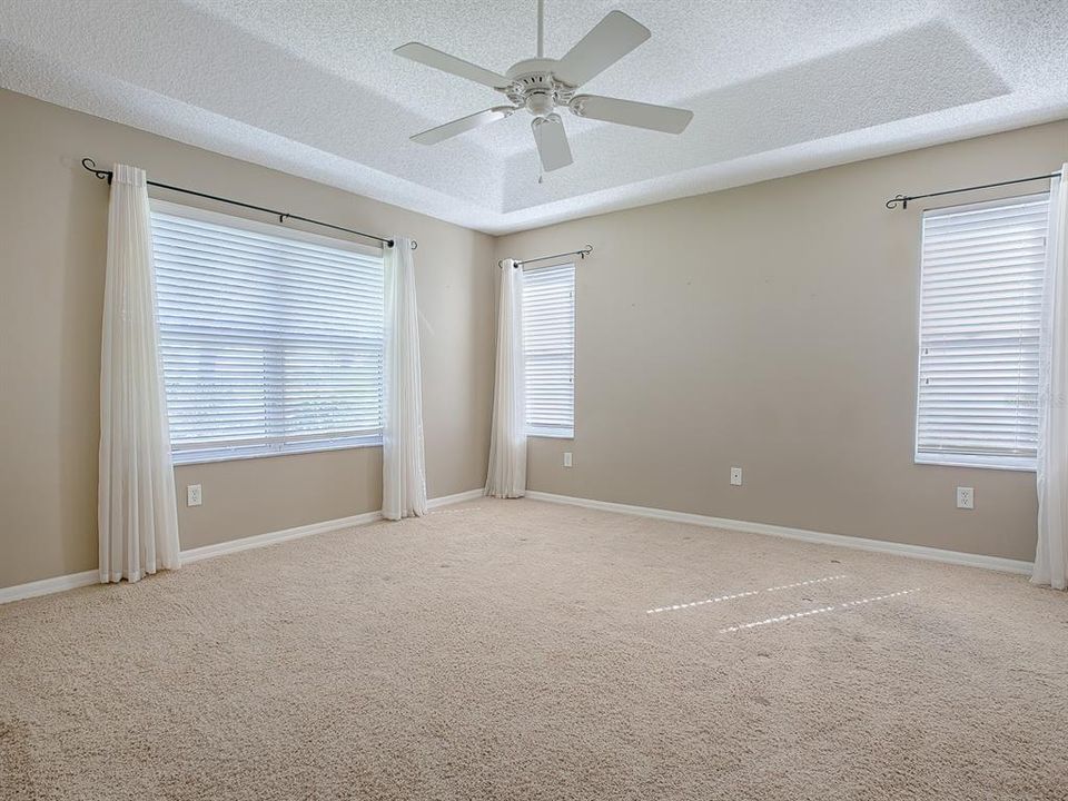 BEAUTIFUL MASTER BEDROOM HAS A TRAY CEILING