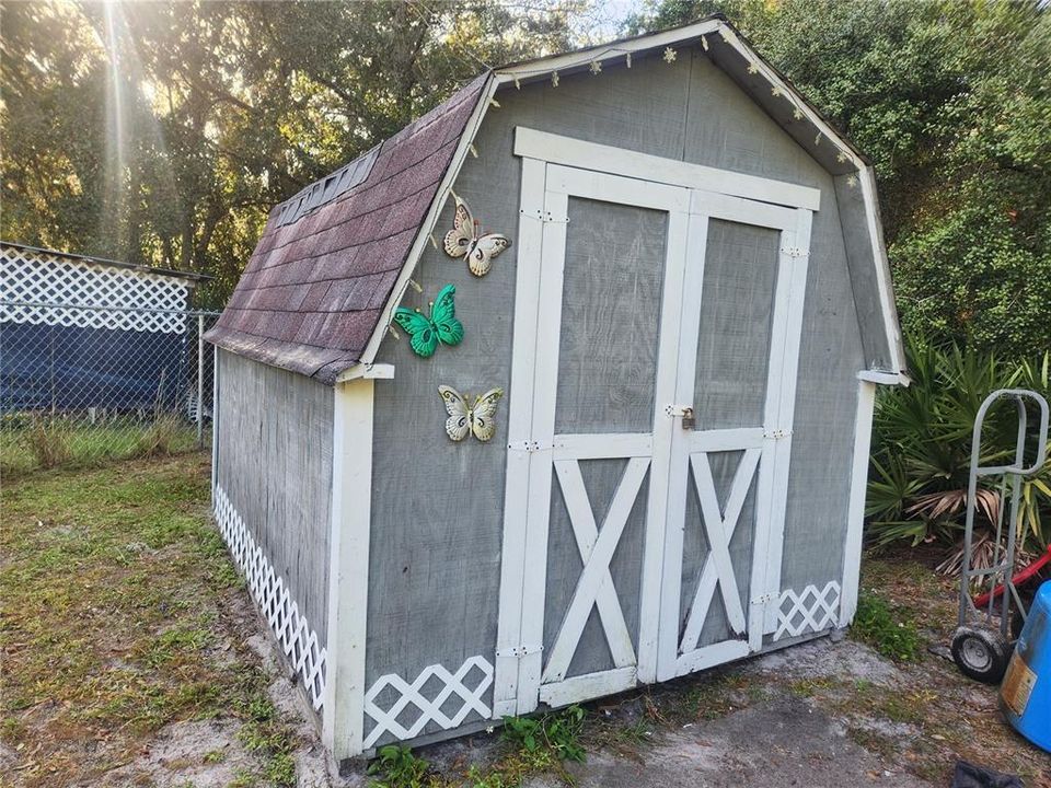 Shed with shelving