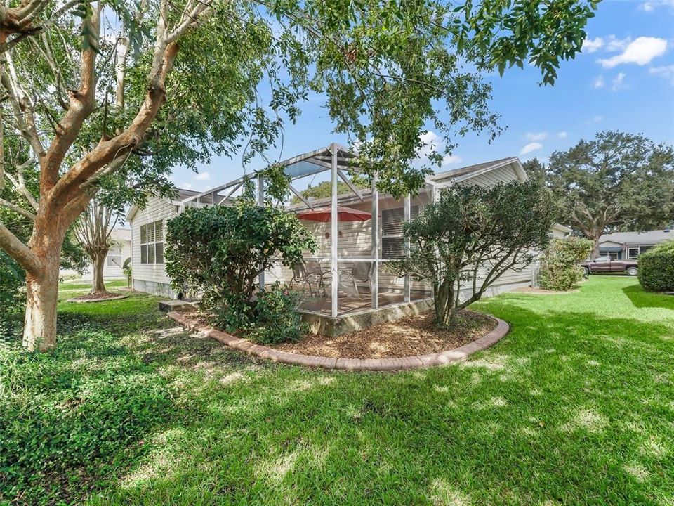 View of the Rear Yard with Birdcage