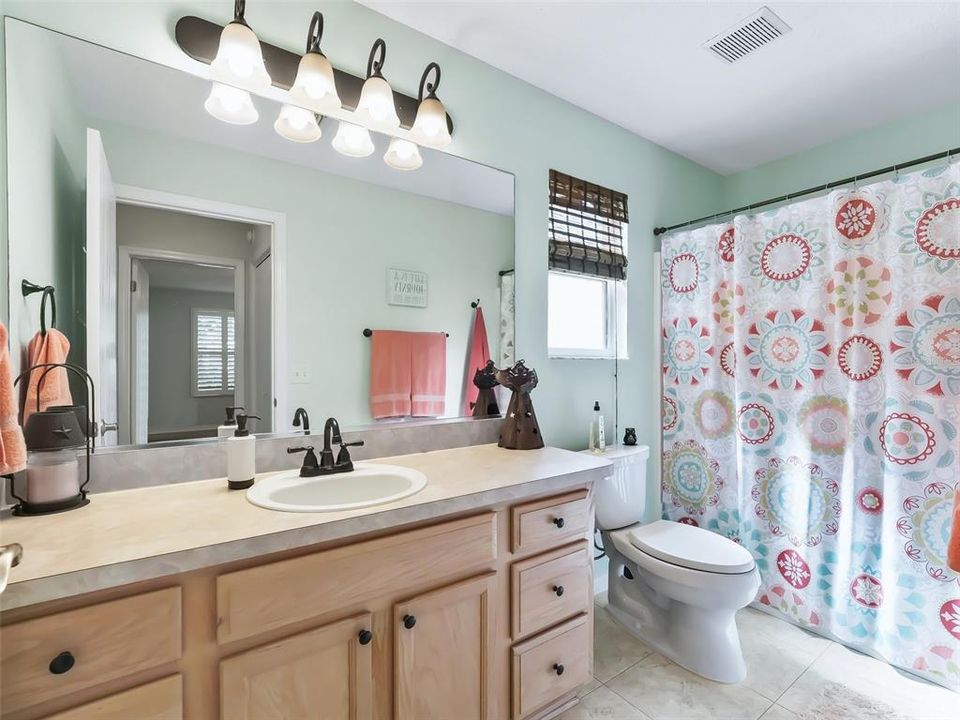 Oversized Guest Bath with Tub and Shower