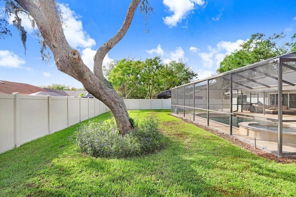 Great space beyond the screened patio for kids and fur babies to play!