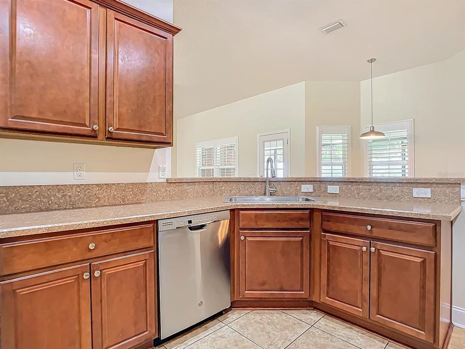 Left side of kitchen with dishwasher - and expansive counter space & overlooking breakfast nook