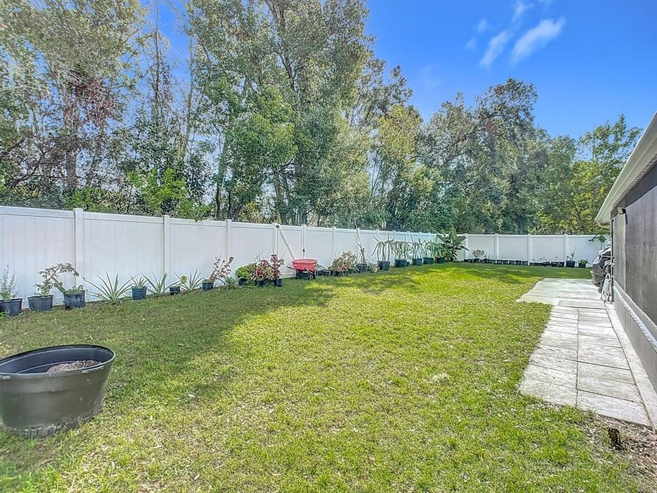 Different view of backyard (fruit trees may all be included)