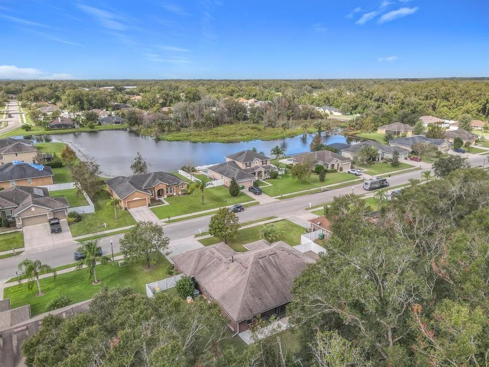 Aerial view of both sides of Elkhorn Fern Street