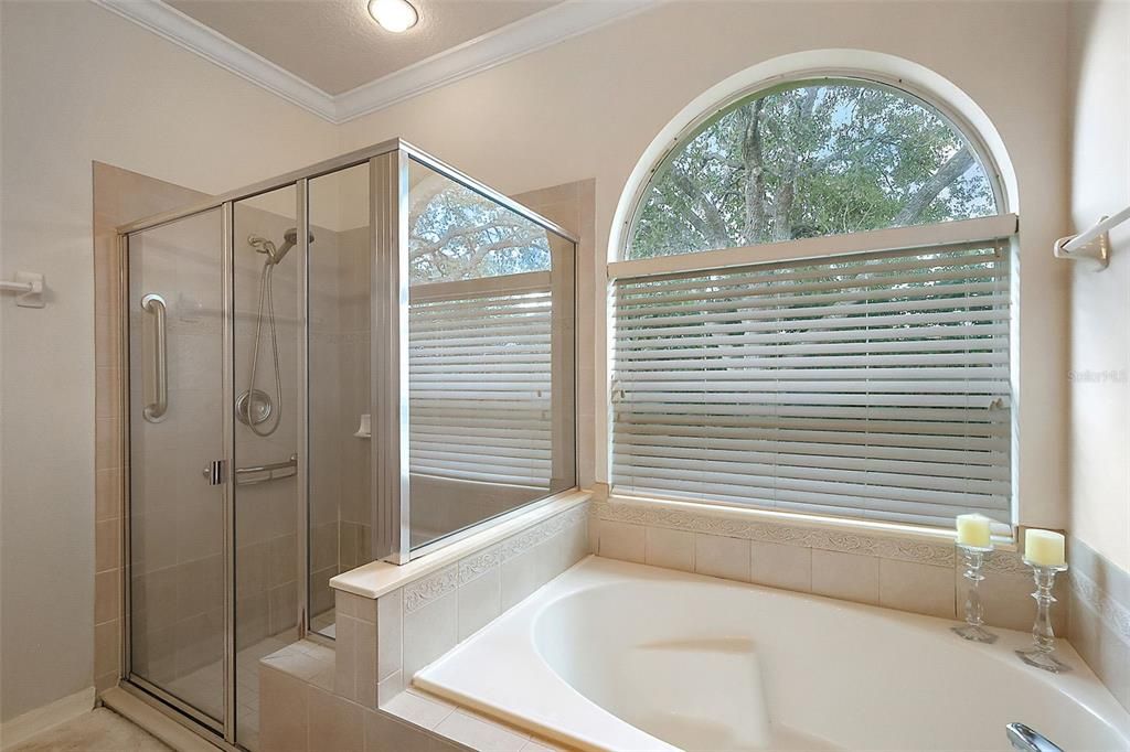 Soaking tub/separate shower with bench