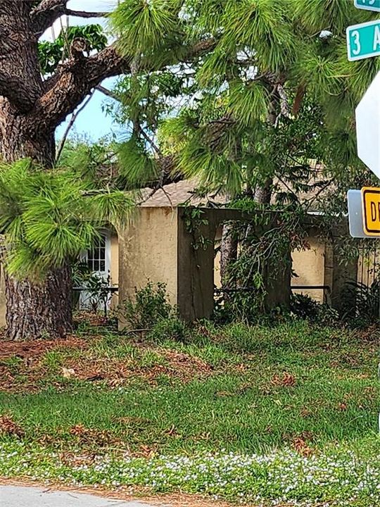 Post hurricane yard debris