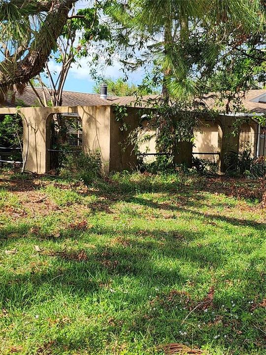 post hurricane yard debris