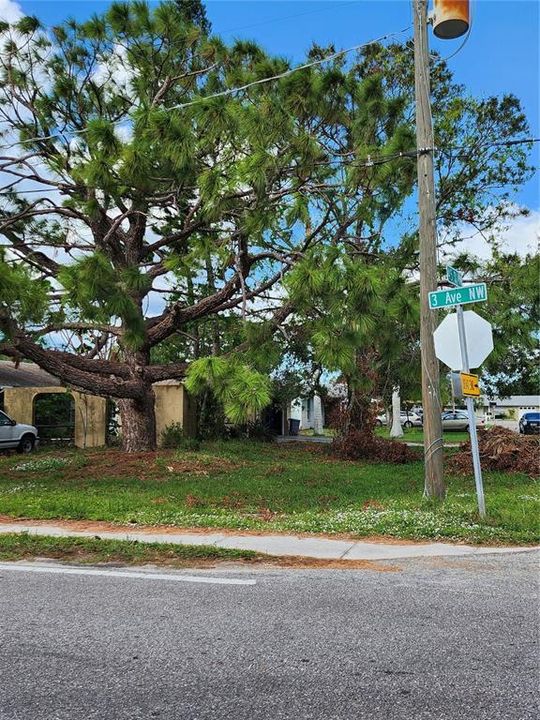 post hurricane yard debris