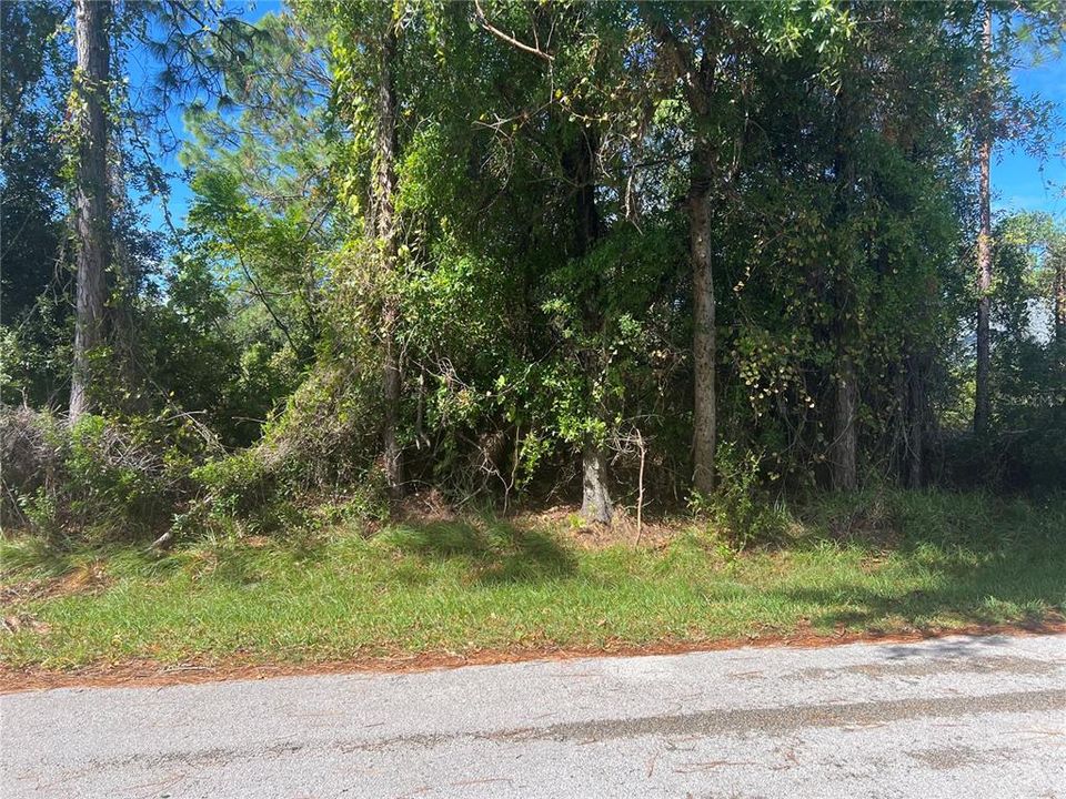 Active With Contract: $67,900 (0.23 acres)