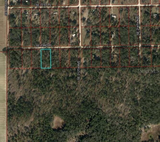 For Sale: $20,999 (1.25 acres)