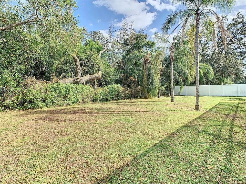 Large fenced yard with no rear neighbors