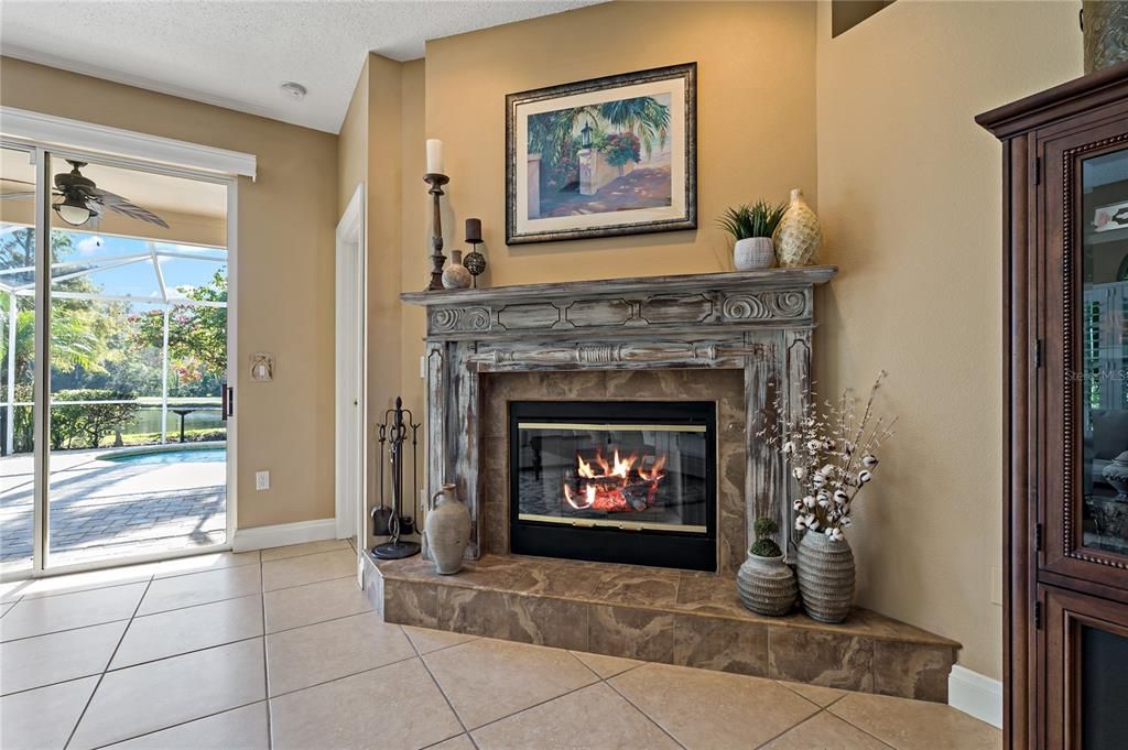 Living Room Fire Place