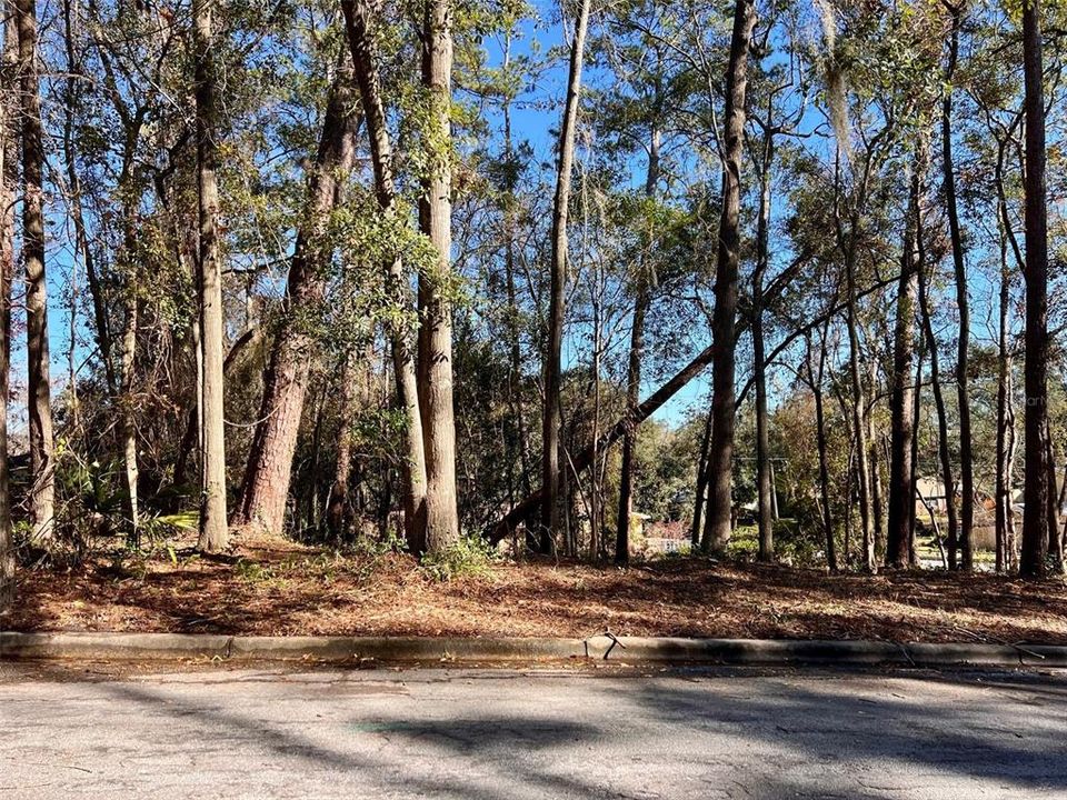 For Sale: $110,000 (0.33 acres)