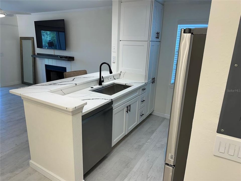 Kitchen farmhouse sink and dishwasher