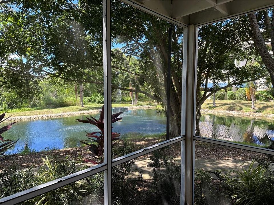 View from inside screened lanai