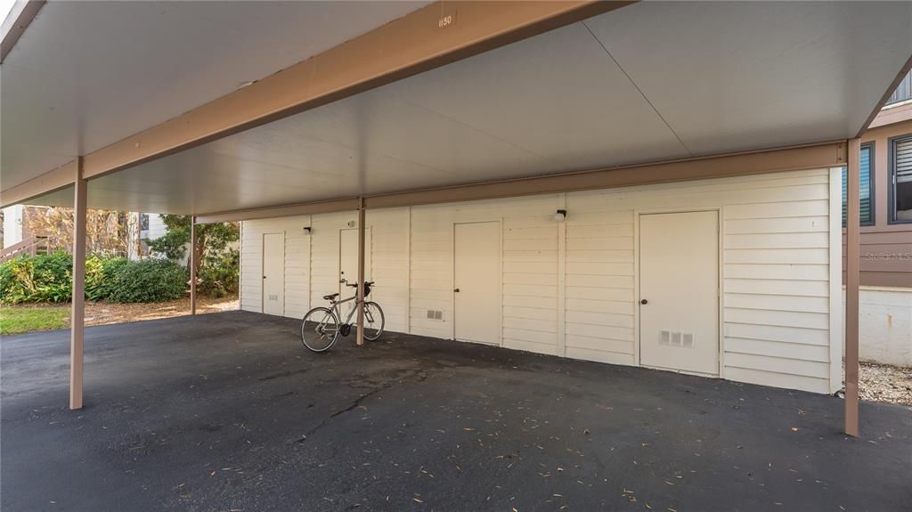 One car carport spot with storage closet