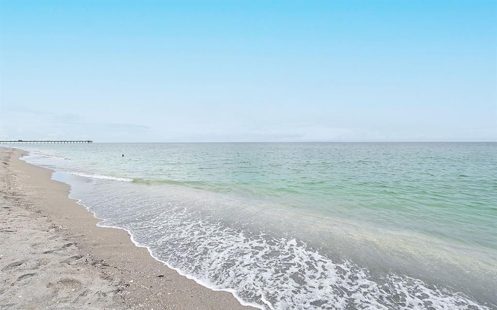 Venice Beach