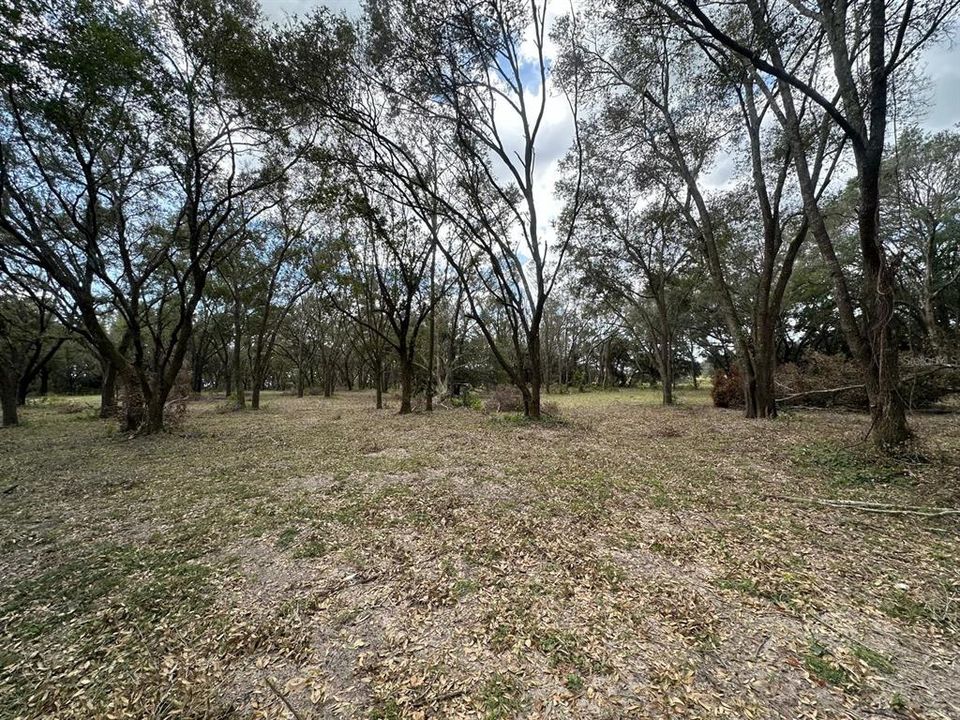 For Sale: $910,000 (14.10 acres)