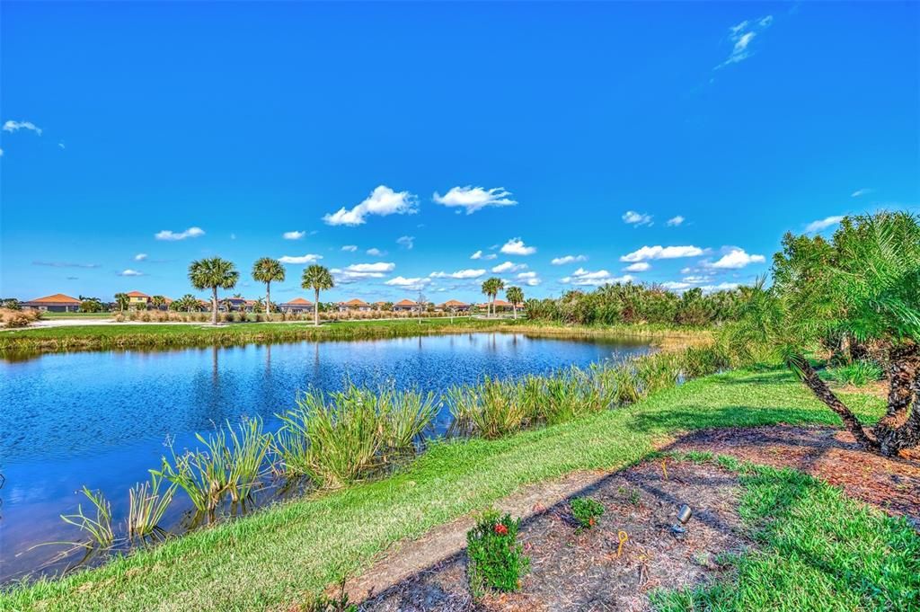 The back yard overlooks water and the golf course - hole number 5.