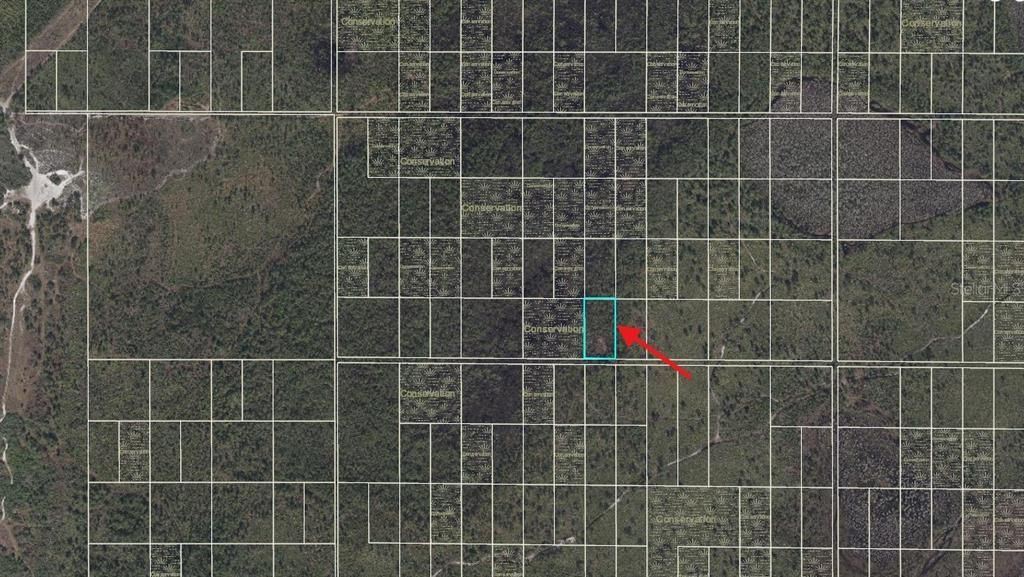 For Sale: $49,999 (1.23 acres)