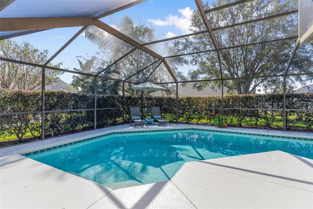 Screen Enclosed Pool Area