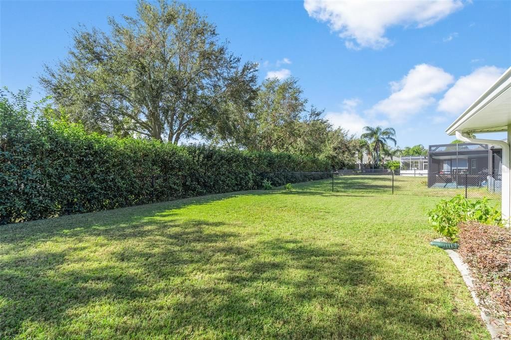 Backyard Area