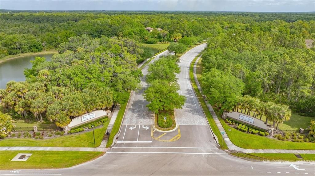 Impressive, gated entryway to The Forest.