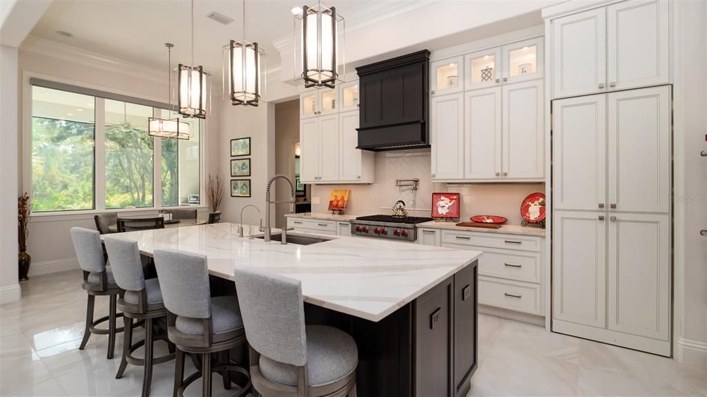 Elegant and plentiful custom cabinets.  Hidden pantry on the right of the picture.