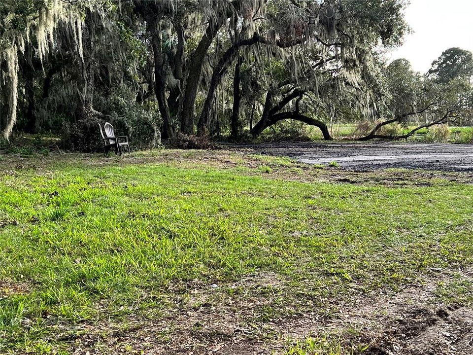 Front half of property is perfect for a gazebo! The cool oak would look great with a swing!