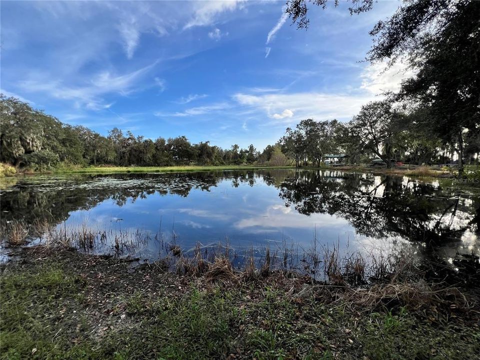 beautiful pond view from the drive