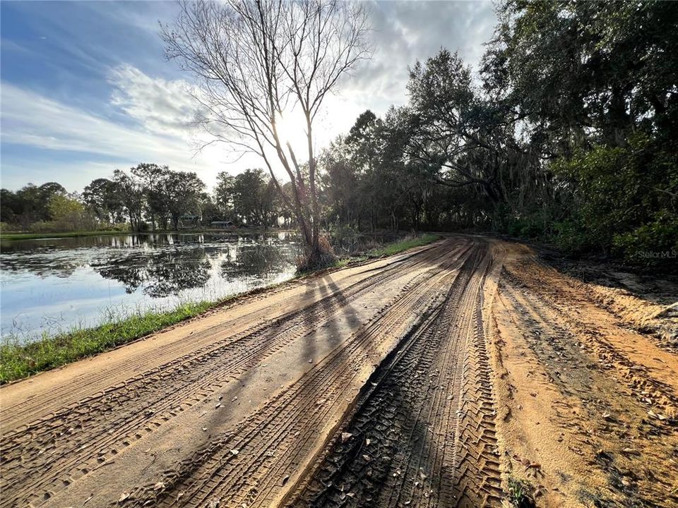 beginning of drive way