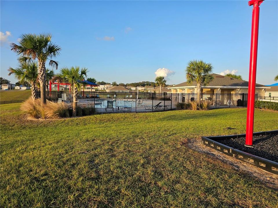 Pool view from playground