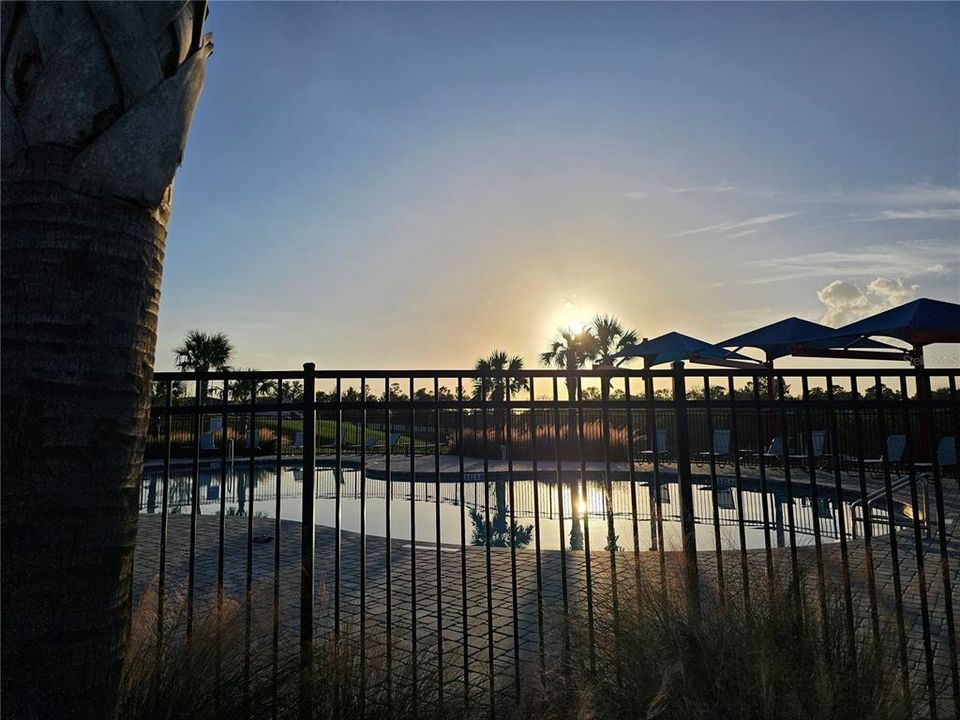 Pool and cabana