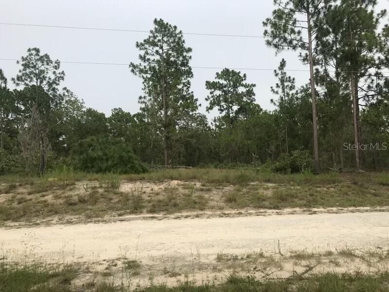 For Sale: $20,000 (1.25 acres)