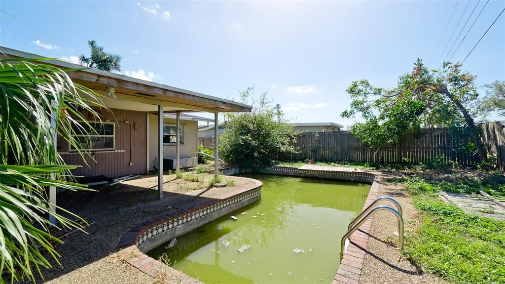 Pool/Back Porch