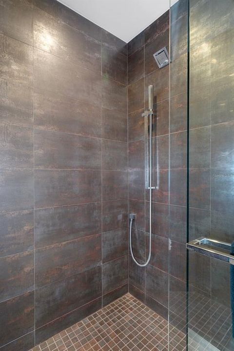 Shower in guest bath